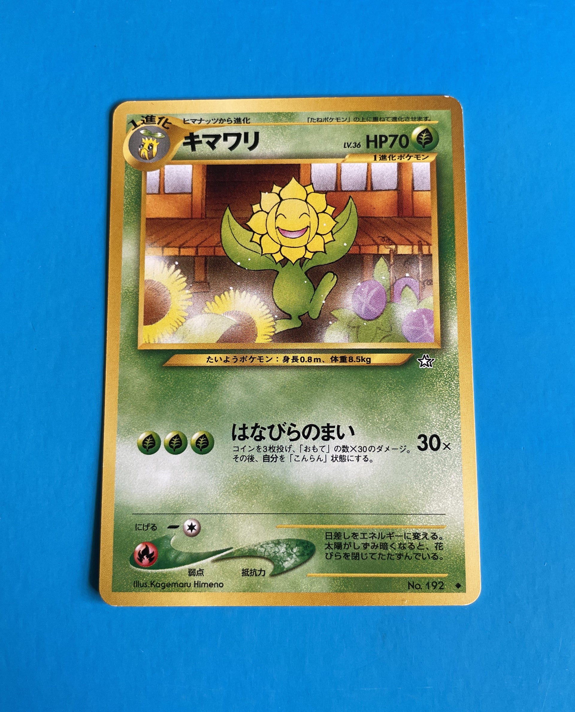 sunflora pokemon card Authentic Japanese from the Gold Silver New World era. A highly collectible vintage Pokemon card popular among Johto-era collectors. This is an original Japanese card, not a reprint. As Options:0635 (Foil)(Borderless) - Commander Masters (CMM) Pokemon TCG Col Box it is always looking Pokémon TCG Gym Challenge