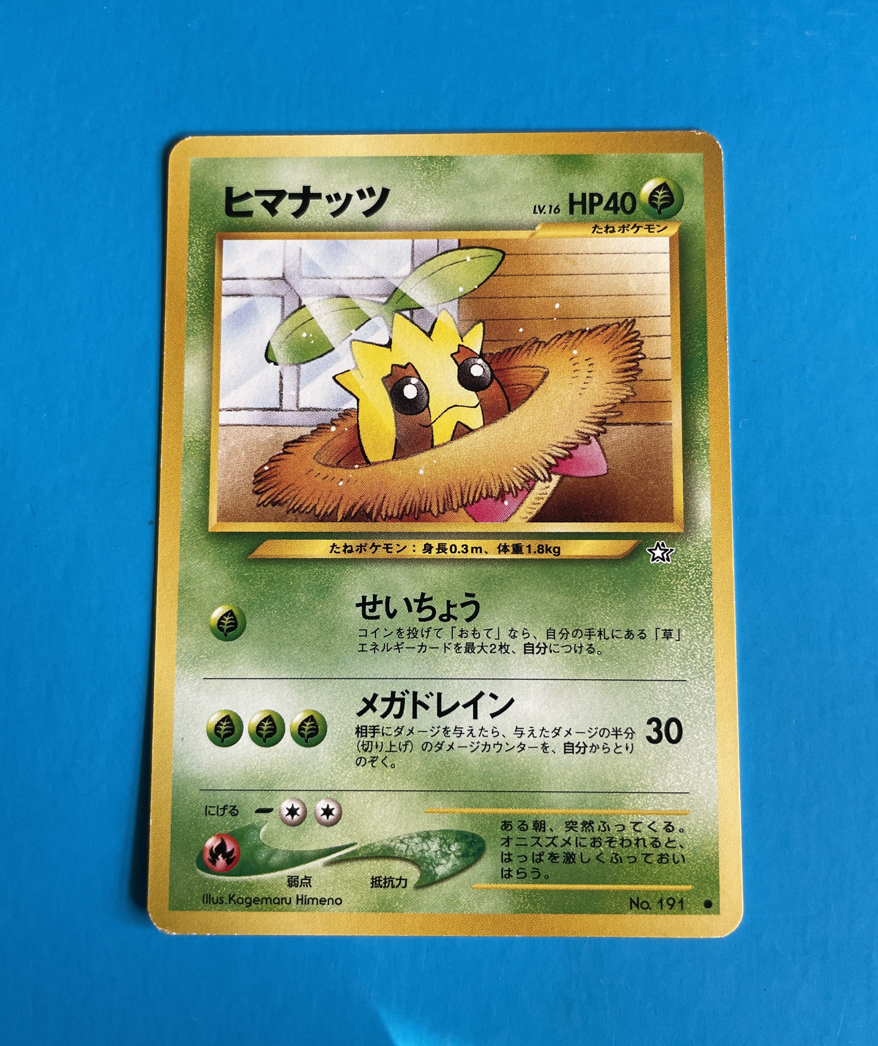 Sunkern #191 Japanese Pokemon Card | Gold Silver New World | Vintage Collectible